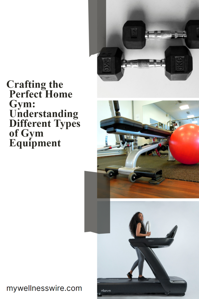 Different types of gym equipment