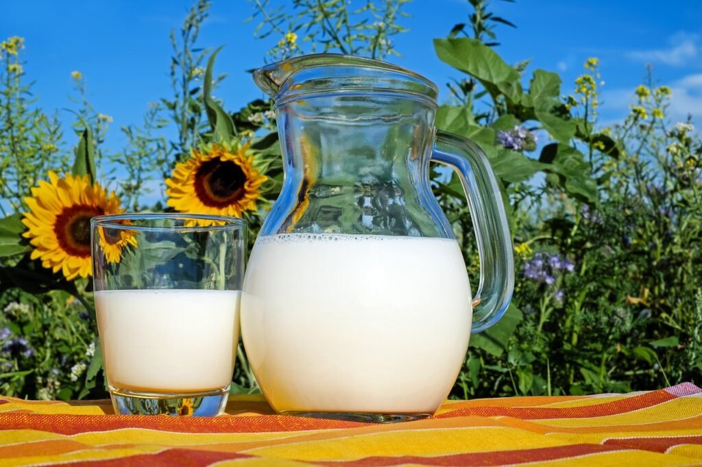 Raw Milk vs Pasteurized Milk in pitcher by sunflower
